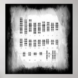 POSTER VARIATION GÉNÉTIQUE HUMAINE - KARYOTYPE