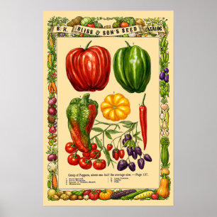 Poster Variétés de Poivrons Rétro Ère Victorienne Art Bot