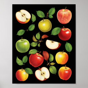 Poster Variétés de pommes Différentes sortes de cueilleur