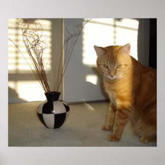 Poster vase chat et à damiers