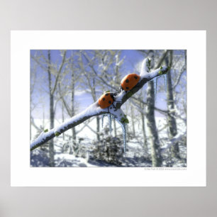 Poster Vassiers de Noël