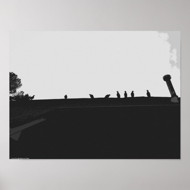 Poster Vautour de Turquie, (Devant)