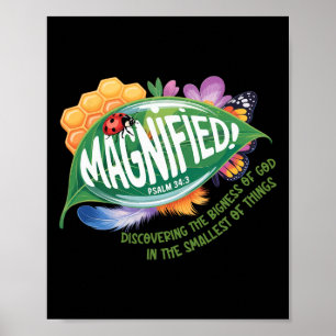 Poster Vbs 2025 Aventure des insectes les plus petits mag