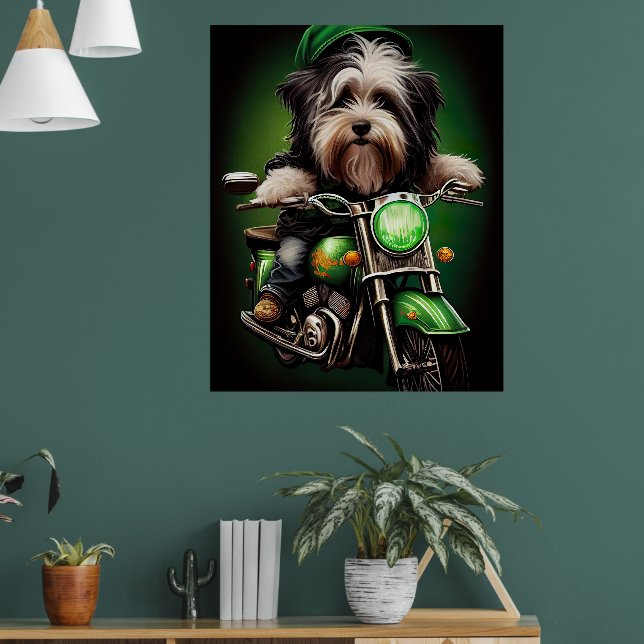 Poster Vélo de conduite de chien Havanais St. Patrick's D (Salon 1)