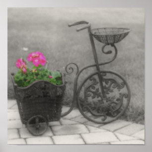 Poster Vélo Fleur Noir Et Blanc Couleur Partielle