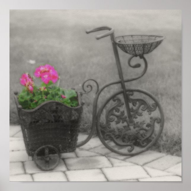 Poster Vélo Fleur Noir Et Blanc Couleur Partielle (Devant)
