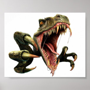 Poster Velociraptor