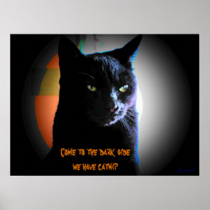 Poster Venez au côté en noir nous avons le cataire