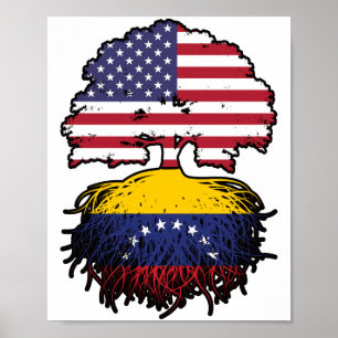 Poster Vénézuélienne Américaine Etats-Unis drapeau des ra