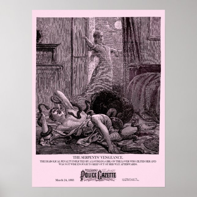 Poster Vengeance dans la Gazette de la police (Devant)