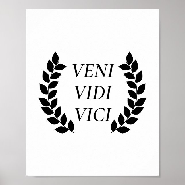 Poster Veni Vidi Vici (Devant)