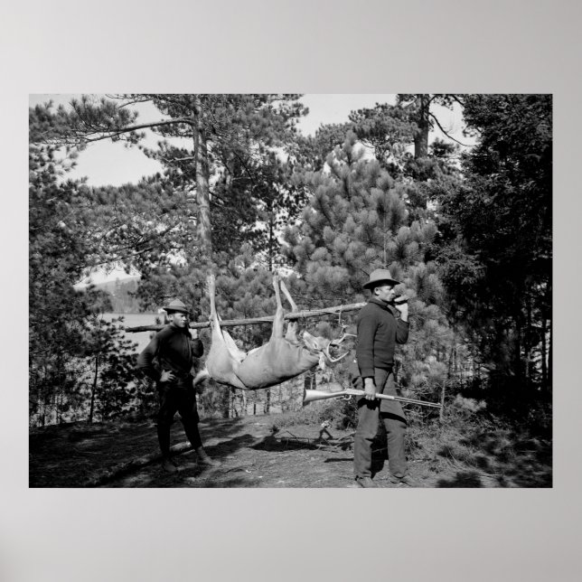 Poster Venison sur bâton, début des années 1900 (Devant)