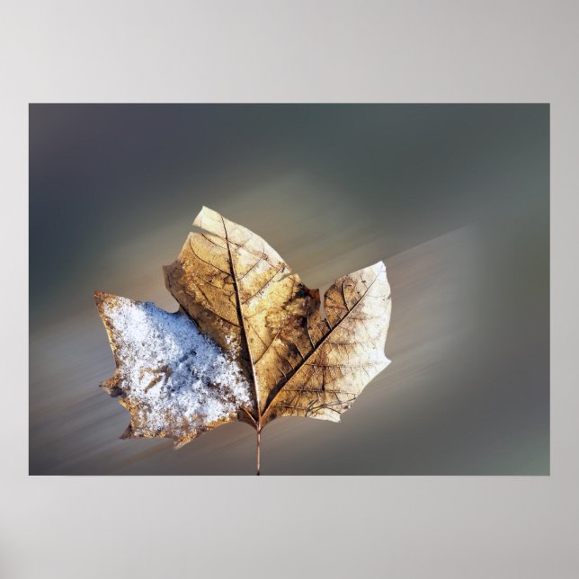 Poster vent and snow (Devant)