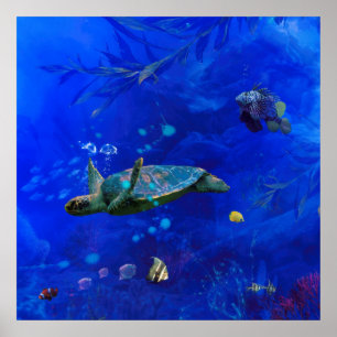 POSTER VENT DE TORTUE DE MER SUR L'EAU