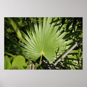 Poster Ventilateur tropical