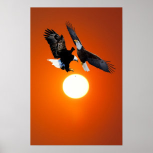 Poster Vénus en transit avec des aigles
