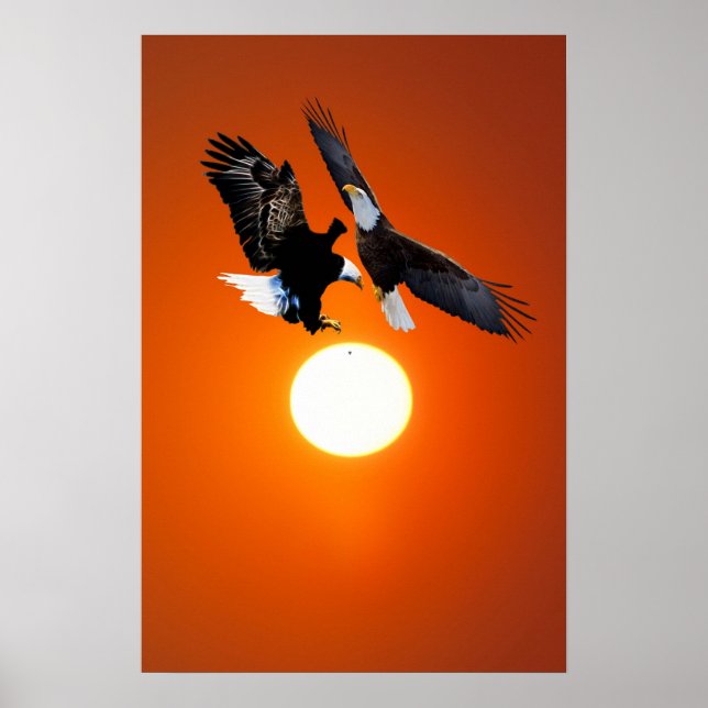 Poster Vénus en transit avec des aigles (Devant)