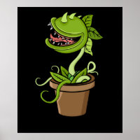 Vénus Fly Trap Plant Venin Men Carnivorous Plants