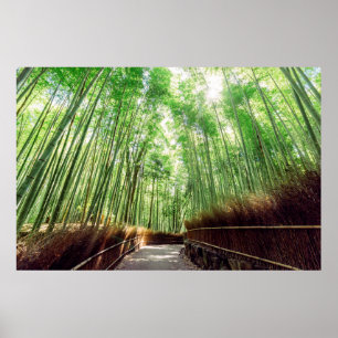 Poster Verger en bambou   Arashiyama, Kyoto, Japon