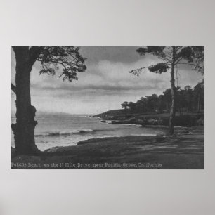 Poster Verger Pacifique, CA - Pebble Beach sur 17 milles