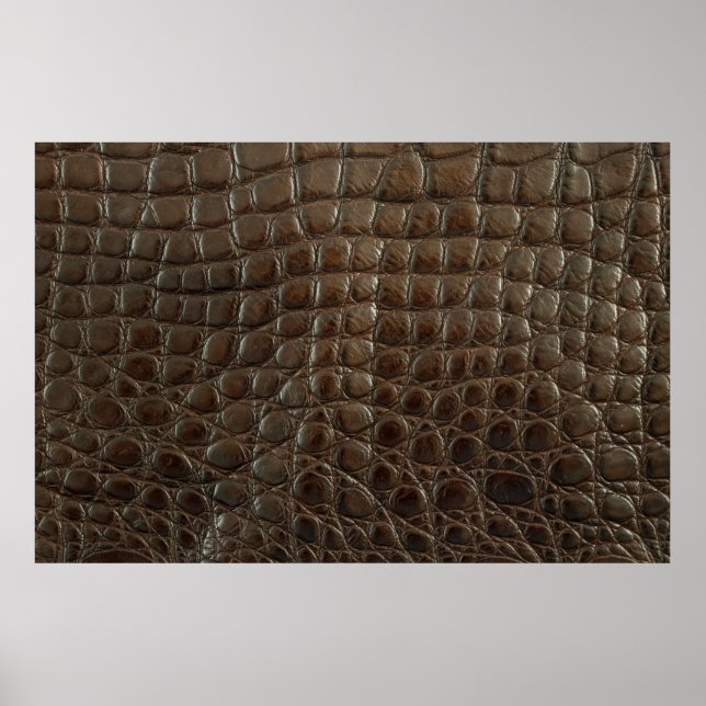 Poster Véritable alligator marron, gros plan pour montrer (Devant)