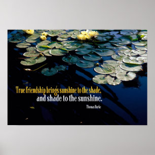 Poster Véritable Amitié