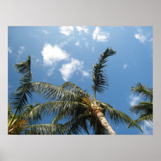 Poster Véritable détente