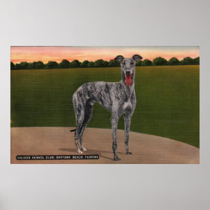 Poster VÉRITABLE HOMME-CHASSE Célèbre Chien Greyhound