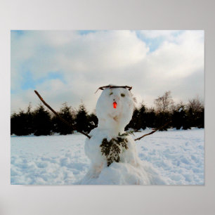 Poster Véritable photo de snowman