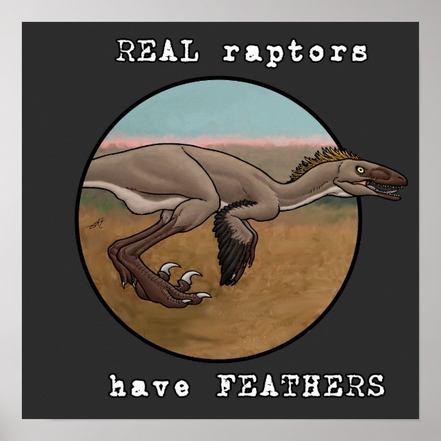 Poster Véritables Rapaces (Devant)