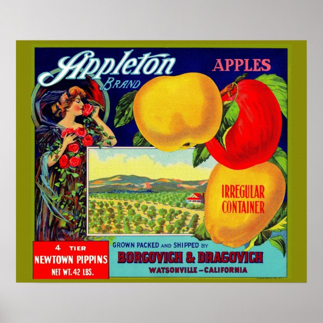 Poster vers 1900 Appleton Apples crate étiquette (Devant)