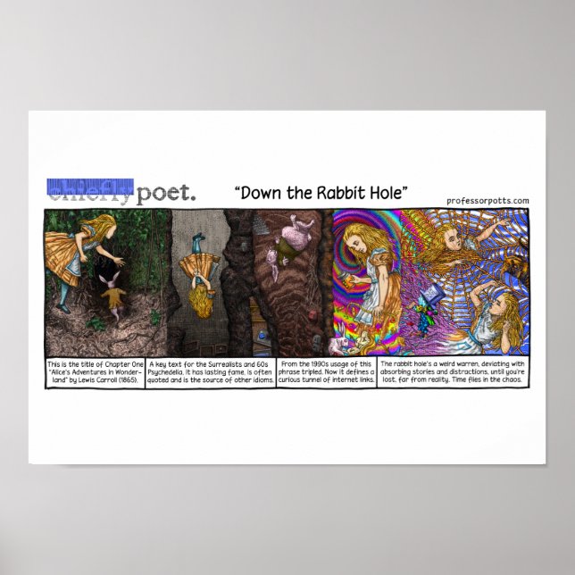 Poster Vers le bas du trou de lapin (Devant)