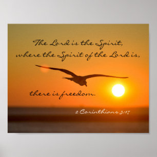Poster Verset de la Bible de la Liberté, Vol d'oiseaux au