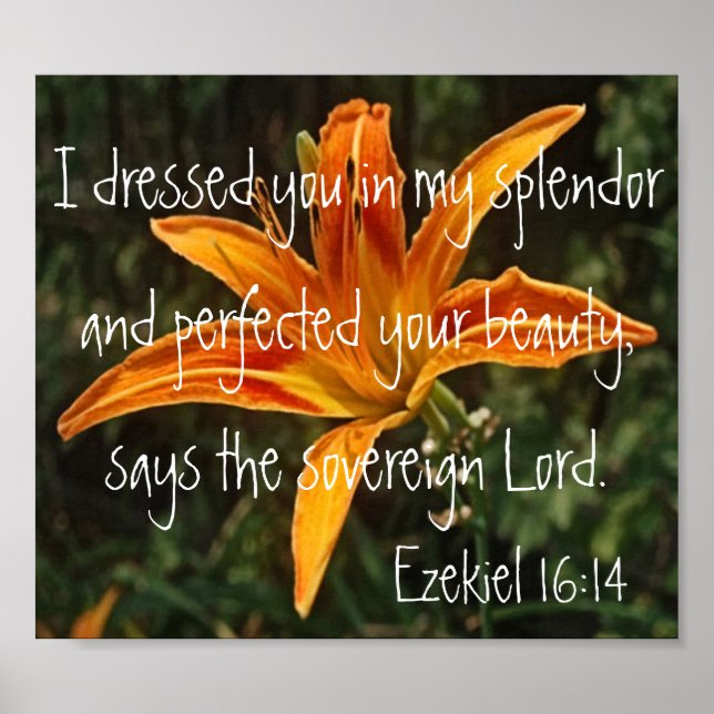 Poster verset de la bible de tigre Ezekiel 16:14 (Devant)