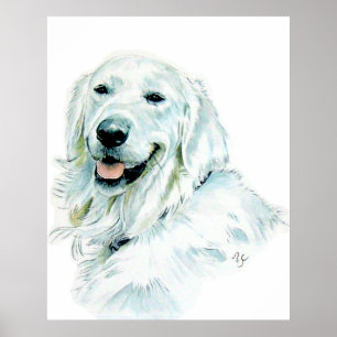 Poster Version anglaise Golden Retriever