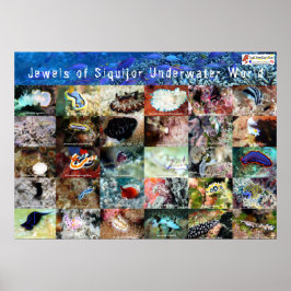 Poster Version anglaise : Jews of Under Water Siquijor