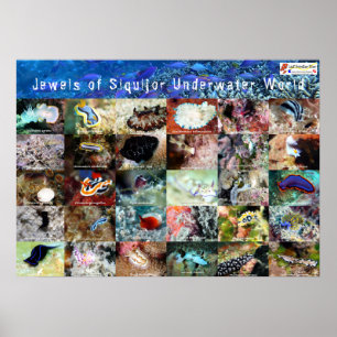 Poster Version anglaise : Jews of Under Water Siquijor