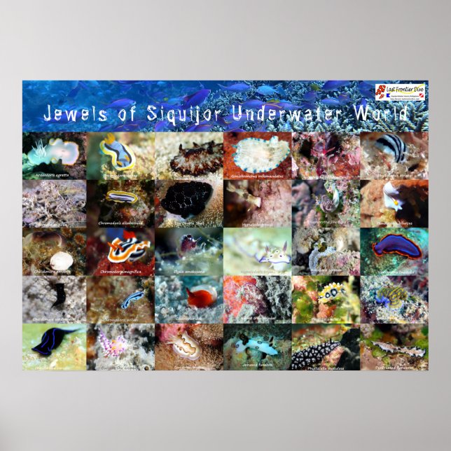 Poster Version anglaise : Jews of Under Water Siquijor (Devant)
