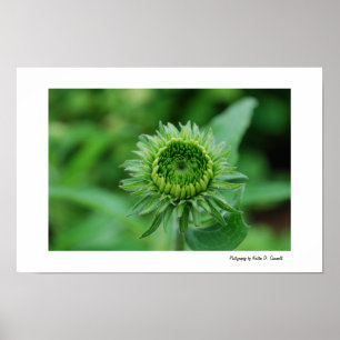 Poster Vert allant