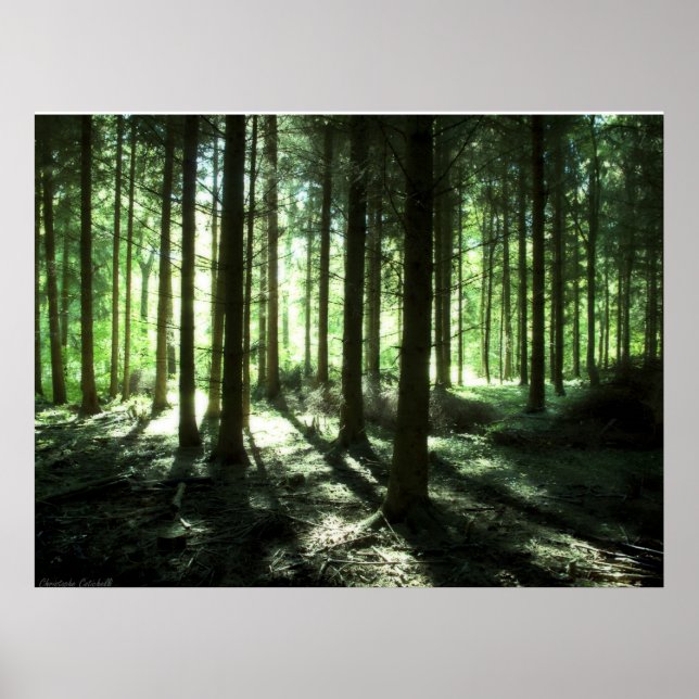 Poster Vert fonçé (Devant)