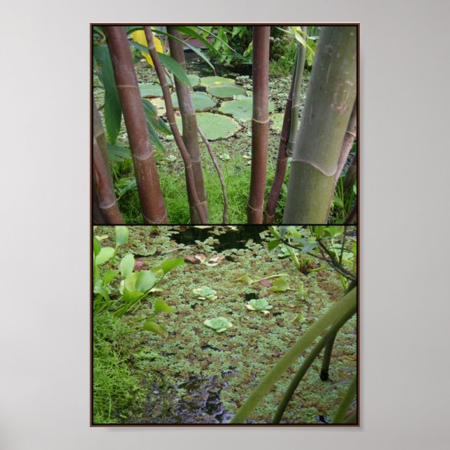 Poster vert sur l'eau (Devant)