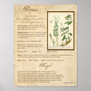 POSTER VERVAIN MAGICK HERB