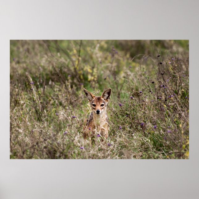 Poster Veste dans l'herbe (Devant)