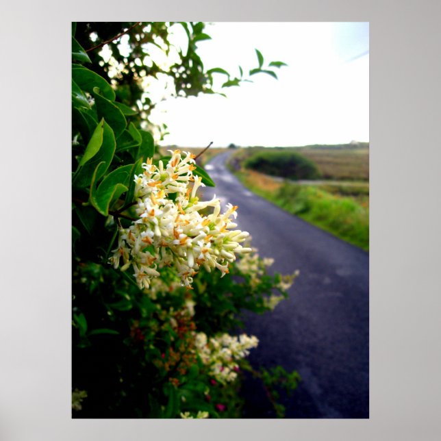 Poster Via Floral (Devant)