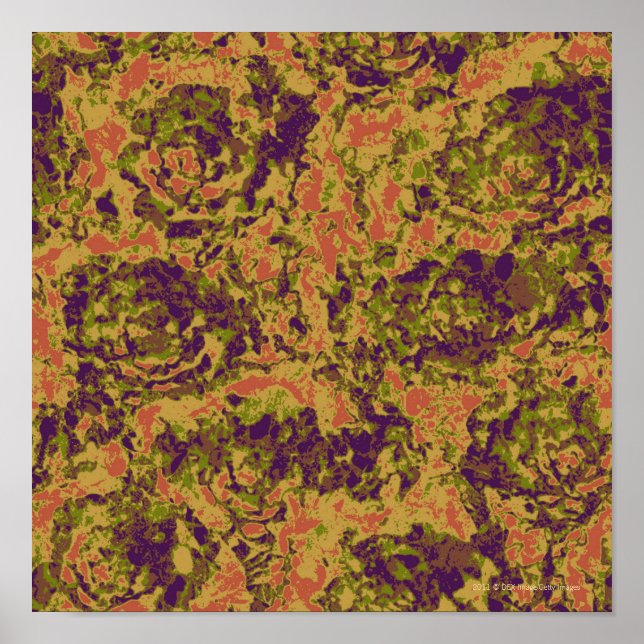 Poster Vibrant flower (Devant)
