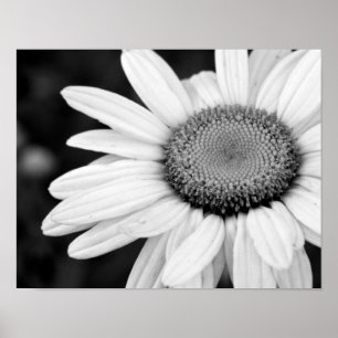 Poster vibrant macro black and white photography floral