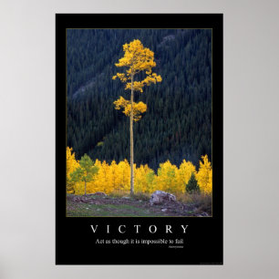 Poster Victoire