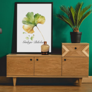 Poster Vie de plantes : Ginkgo Biloba personnalisable