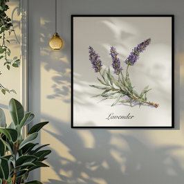 Poster Vie de plantes : Lavande, personnalisable