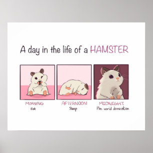 Poster Vie Hamster